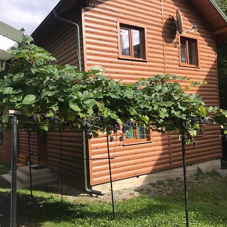 Hotel Базилік Jaremče Exteriér fotografie